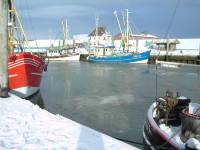 Der Hafen im Winter